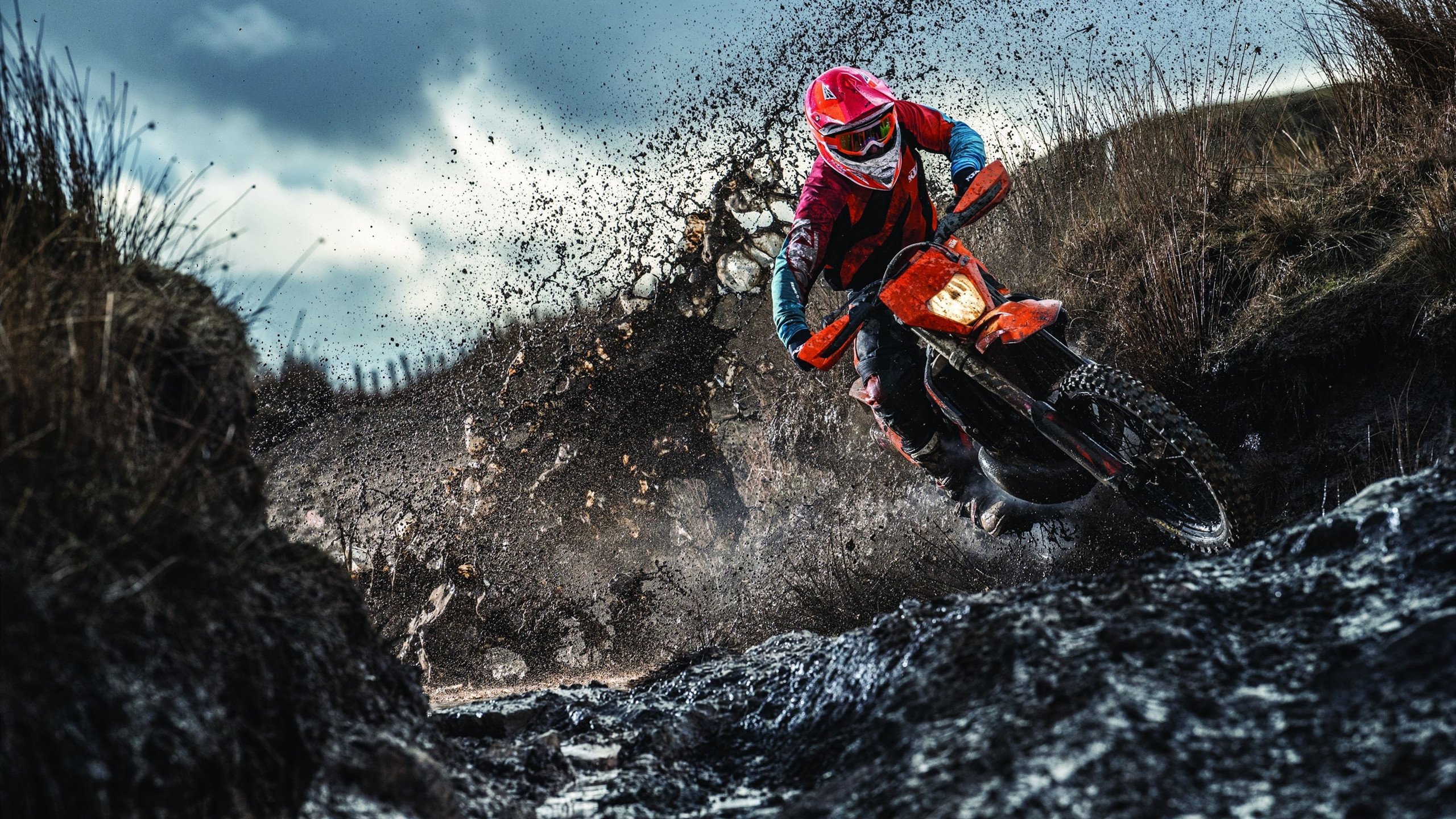 里奇·麦考与全黑队的关系：一个传奇的领导者与战术枢纽，麦考在哪个队